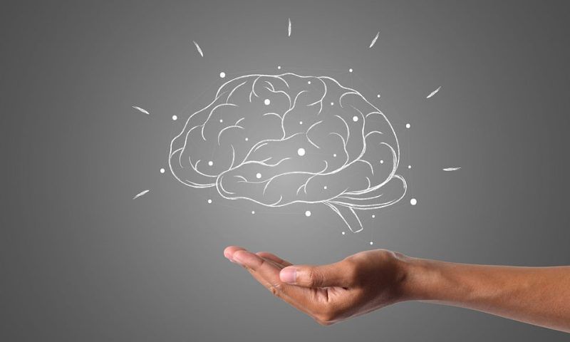 Пять продуктов для улучшения работы мозга