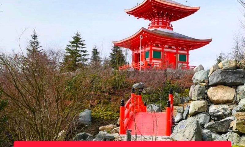 Посетить Японский сад в парке «Краснодар» с 7:00 до 9:00 можно будет без QR-кода