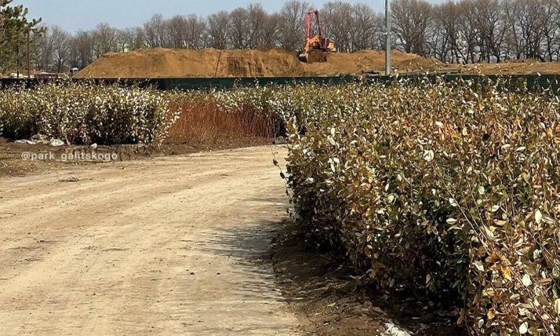 В парке «Краснодар» раскрыли высоту самой верхней точки новой локации «Парк Облаков»