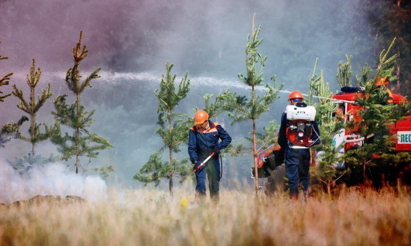 Умные камеры будут бороться с лесными пожарами в Краснодарском крае