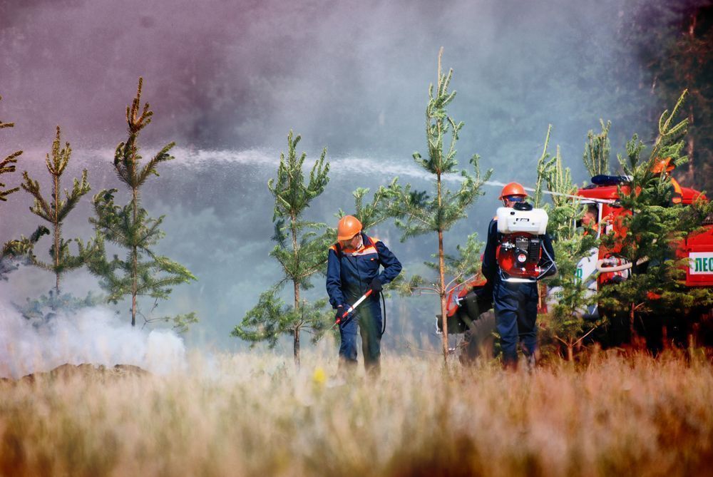 Умные камеры будут бороться с лесными пожарами в Краснодарском крае
