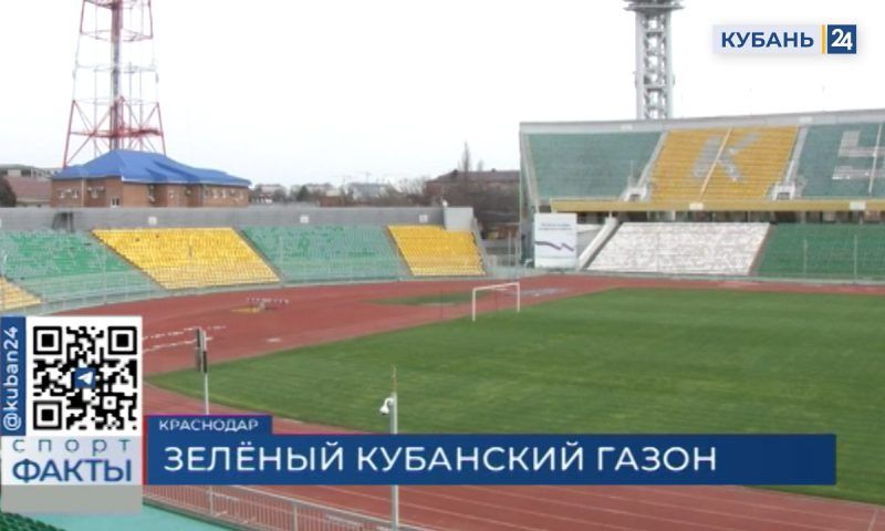 Домашнюю арену ПФК «Кубани» подготовили к матчу с «Рубином»