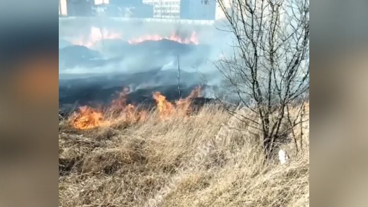 Праздничные шашлыки: выгорело 400 кв. метров поля под Краснодаром