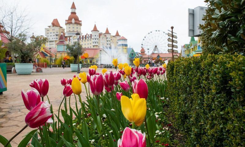 Где провести 8 Марта: курорты Краснодарского края готовят акции к празднику