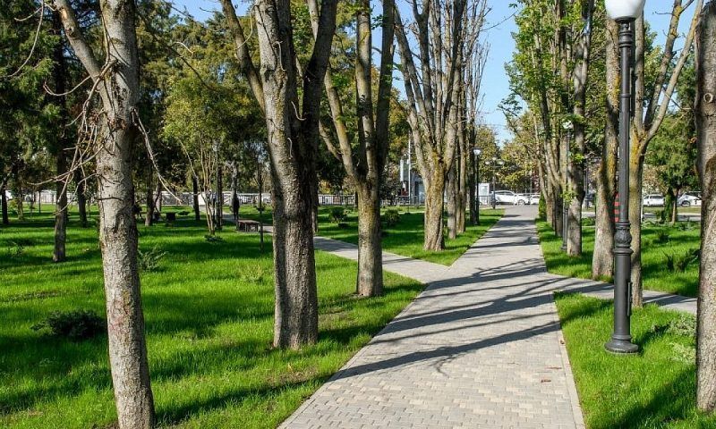 В Краснодарском крае стартовало голосование по выбору зеленых зон для благоустройства