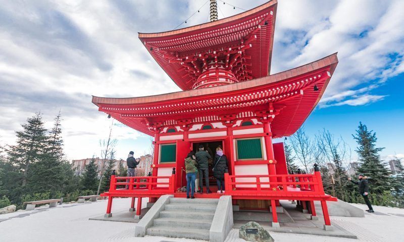 Приходите завтра: QR-коды для посещения Японского сада в парке «Краснодар» на 2 апреля закончились