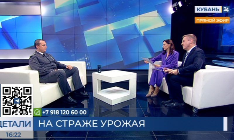 Валерий Немченко: для отдыхающих белая бабочка — достопримечательность, для аграриев — угроза урожаю