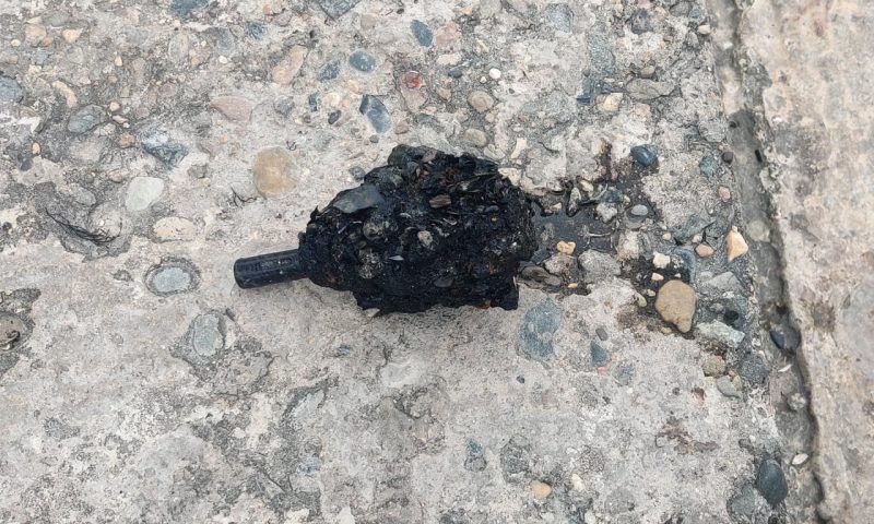 В море возле пляжа Анапы нашли гранату Ф-1