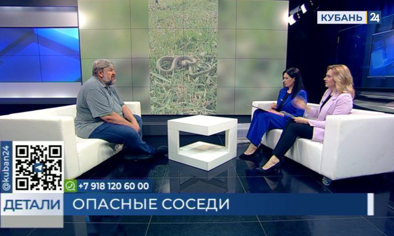 Сергей Островских: самое главное при встрече со змеей — не паниковать