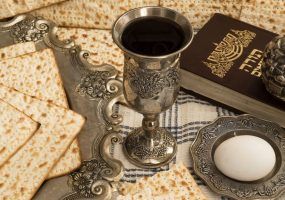 photo_2023-04-05_11-14-44