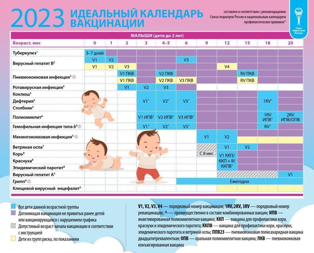 Обязательные прививки: когда, как и от чего вакцинировать детей - 6 апреля,  2023 Статьи «Кубань 24»