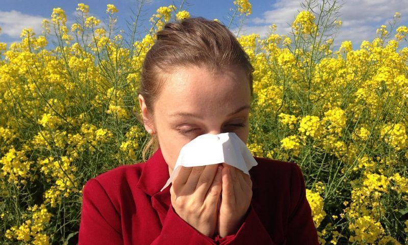 Аллергия: что цветет в сентябре