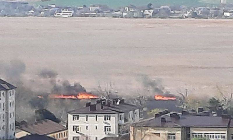 В Анапе в плавнях загорелись камыши на площади 600 кв. метров