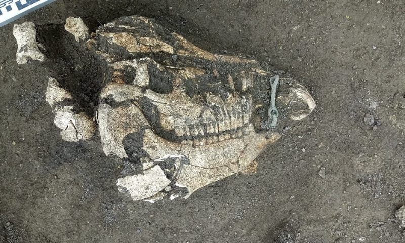 Оружие, посуду и украшения нашли археологи в захоронении раннего железного века в Анапе