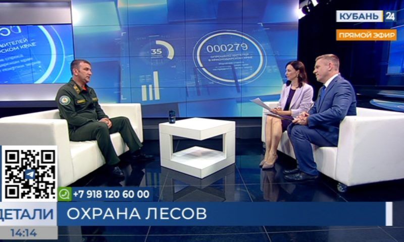 Николай Сивер: штрафы за разжигание костра в лесах увеличены до 15 тыс. рублей