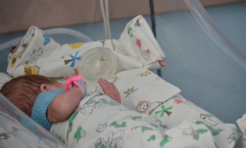 Благодаря процедуре ЭКО в Краснодарском крае с начала года родился 361 ребенок