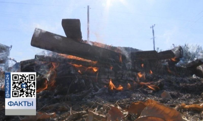 Высокую пожароопасность 4 класса объявили на большей части Краснодарского края