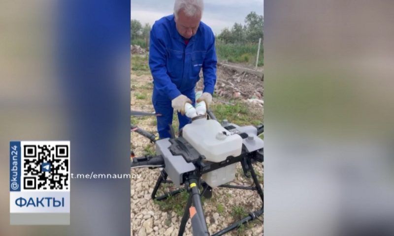 Уничтожать комаров в плавнях Анапы начали с помощью беспилотников