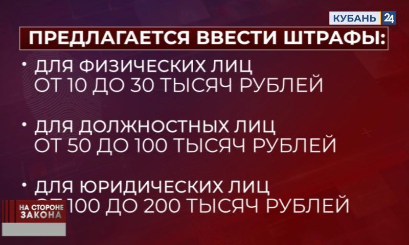 В Госдуме поддержали введение штрафов до 200 тыс. рублей за укусы животных