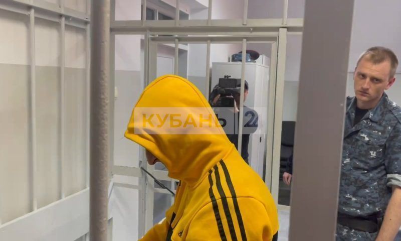 Обвиняемого в убийстве аниматоров в Краснодарском крае Демьяна Кеворкьяна отправили под арест