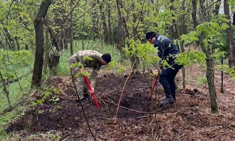 Задержали троих мужчин, подозреваемых в убийстве аниматоров в Краснодарском крае