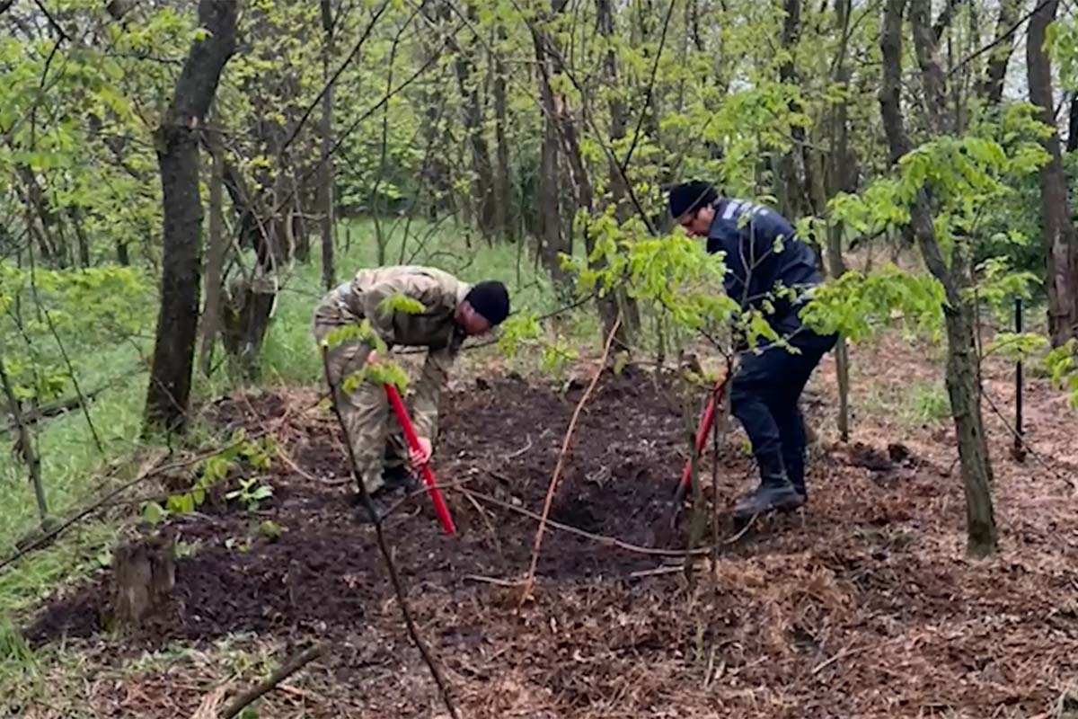 Задержали троих мужчин, подозреваемых в убийстве аниматоров в Краснодарском  крае - 3 мая, 2023 Все новости, Происшествия «Кубань 24»