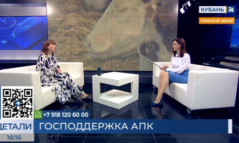 Марина Горяинова: программа по поддержке овцеводства в крае заработает уже в августе