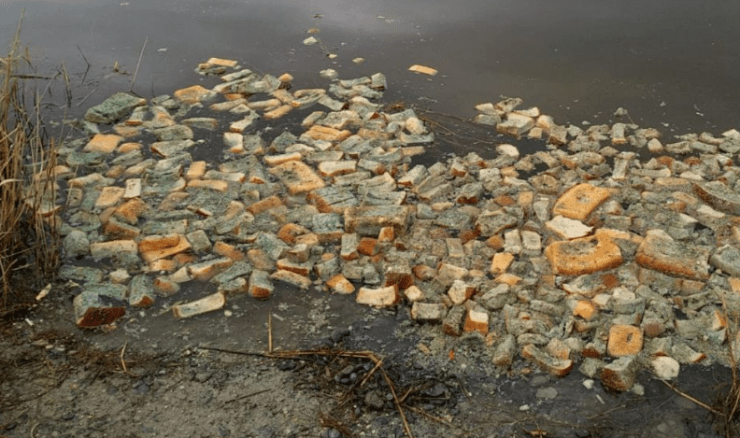 Акция по очистке берегов «Марафон рек» пройдет в Краснодарском крае