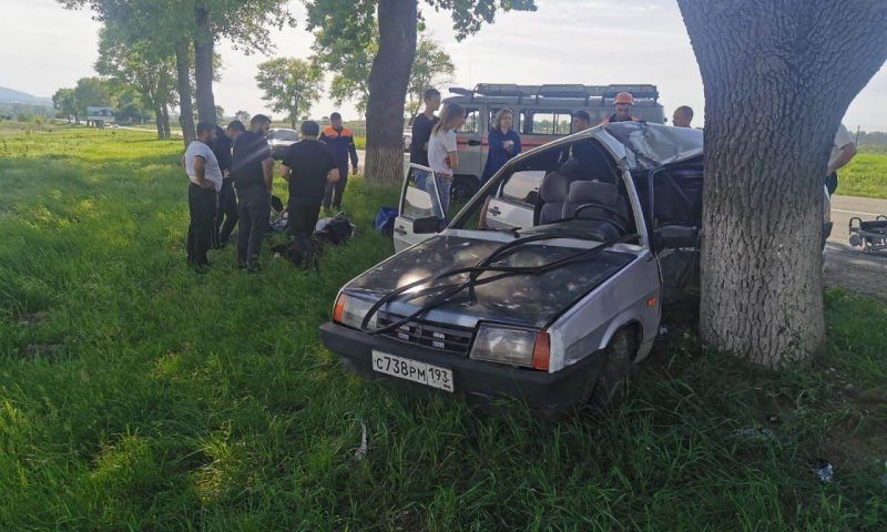 Легковушка влетела в дерево под Новороссийском, пострадали четыре человека