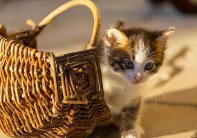 photo_2023-05-04_14-27-19