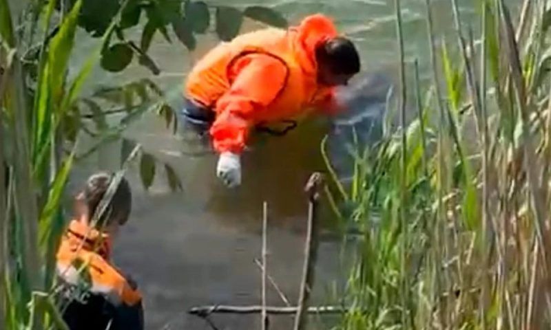 Рыбак выловил на удочку тело мужчины в Гулькевичском районе