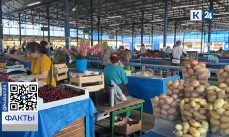 Цены на фрукты и ягоды снизились в Краснодарском крае