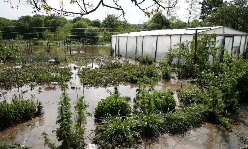 Дожди и подтопления: как справляются с непогодой в Новокубанском районе?