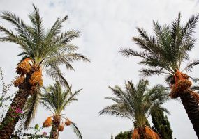 Геолог Любимова оценила риски возможных разрушений при землетрясениях в Сочи