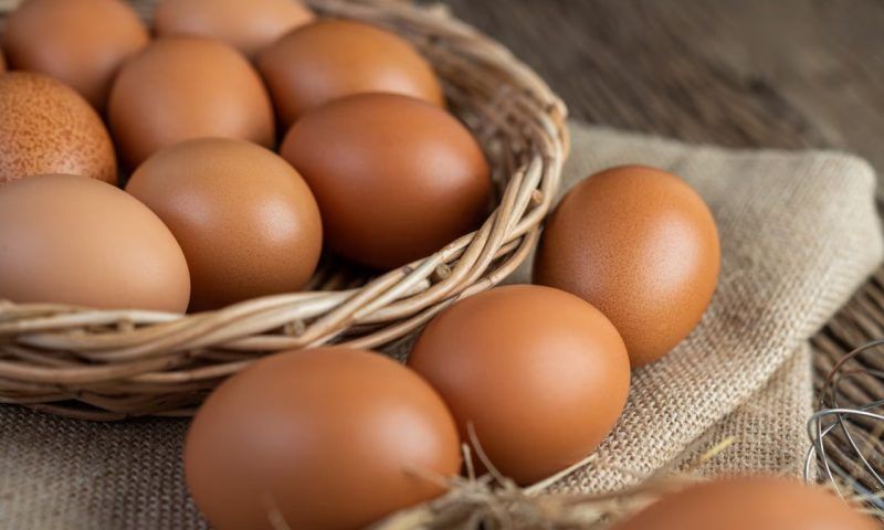 В ФАС рассказали, когда снизятся цены на куриные яйца в России
