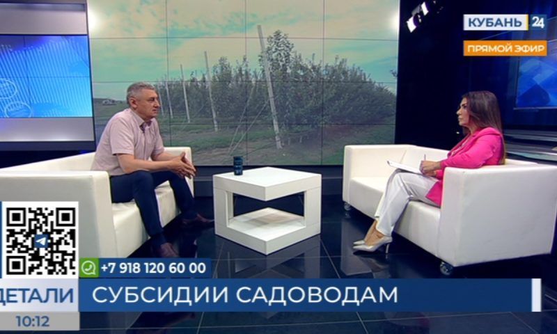 Николай Щербаков: за время работы краевой программы «Малый сад» за поддержкой обратились 65 человек