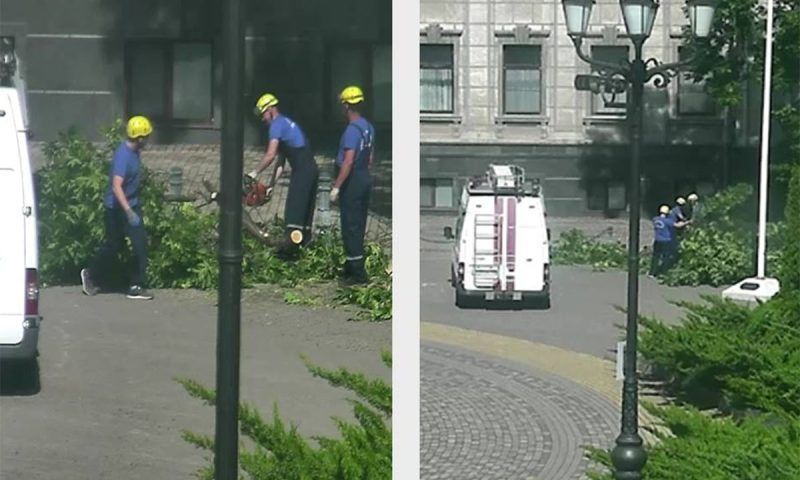 Огромная ветка упала у здания Законодательного собрания края в Краснодаре