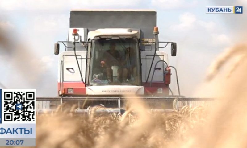 Кондратьев: в этом году на поддержку аграрного сектора направим 13,4 млрд рублей