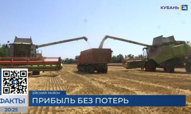Более 300 тыс. тонн сельхозпродукции планирует экспортировать предприятие Краснодарского края