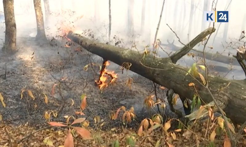Высокая пожароопасность: как спасатели оберегают леса от возгораний в Краснодарском крае