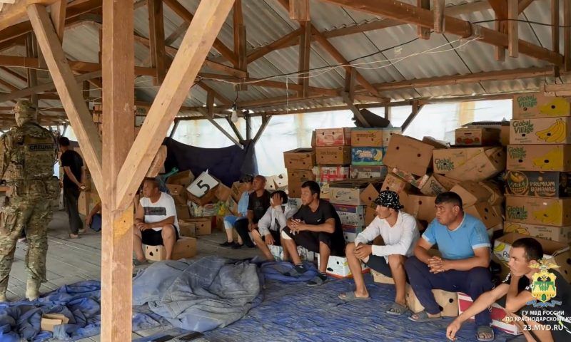 Более 100 нелегальных мигрантов поймали в тепличном комплексе в Красноармейском районе