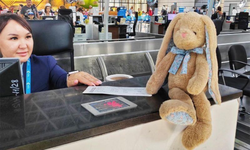 Забытого в аэропорту Сочи плюшевого зайца вернули хозяйке в Мурманске