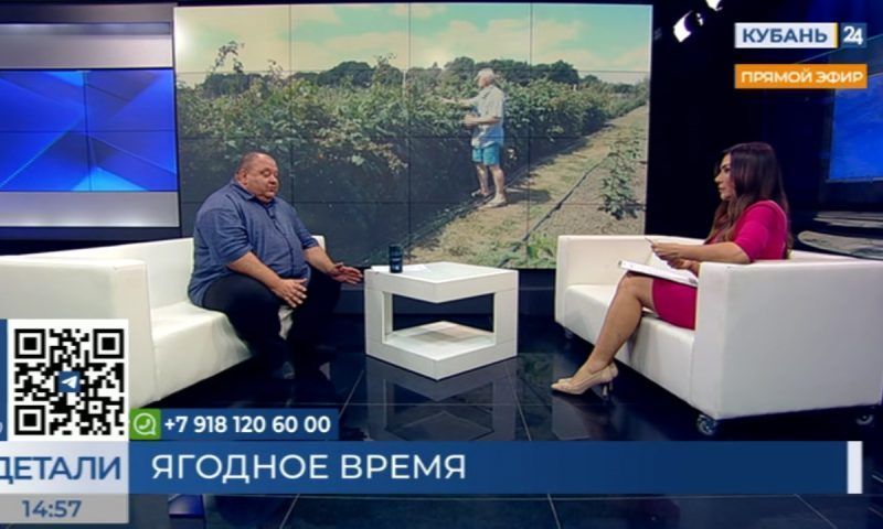 Владимир Гришко: на Кубани работают 30 питомников с ягодными саженцами