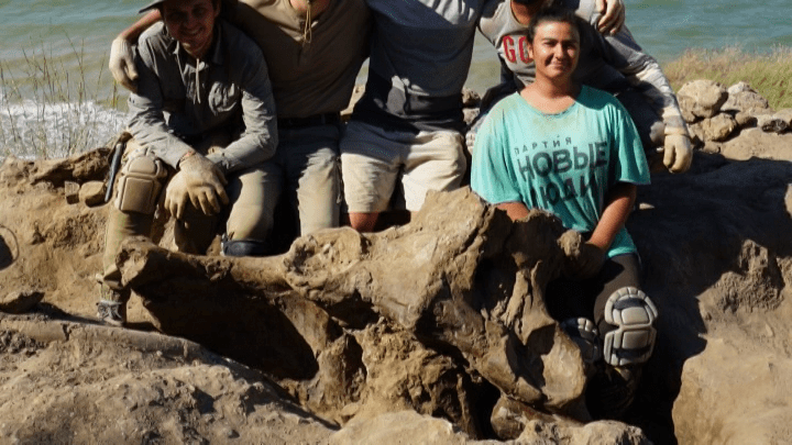 Череп древнего носорога и таз таманского слона обнаружили палеонтологи в Темрюкском районе