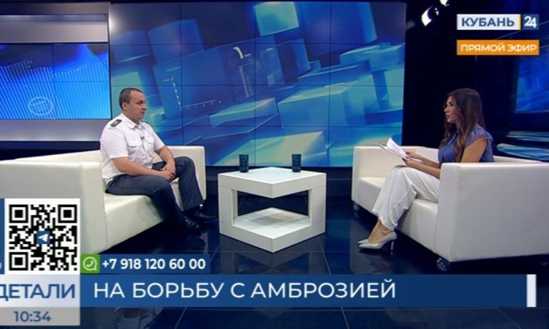 Валерий Немченко: покос — самый неэффективный способ борьбы с амброзией