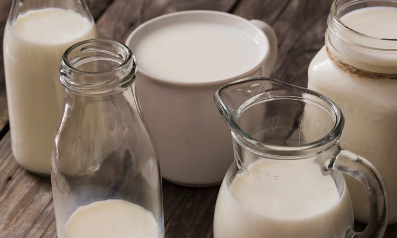 Пейте, дети: 7 аргументов в пользу коровьего молока