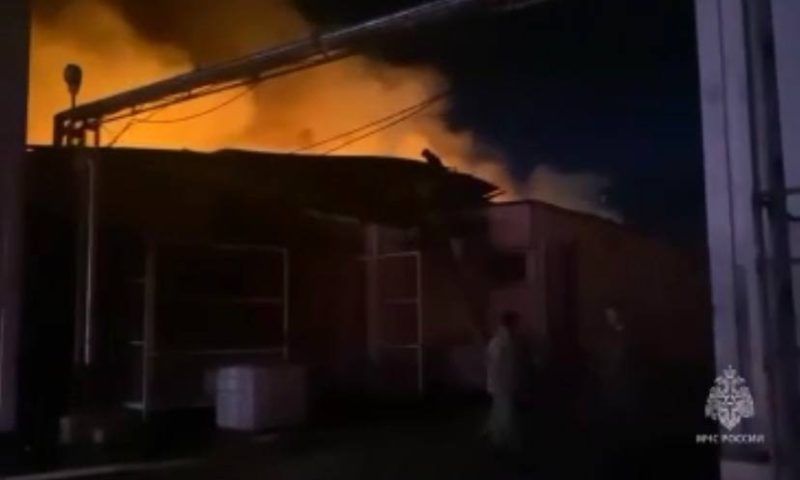 Склад винного завода загорелся в Темрюкском районе, огонь охватил 900 кв. метров. Видео