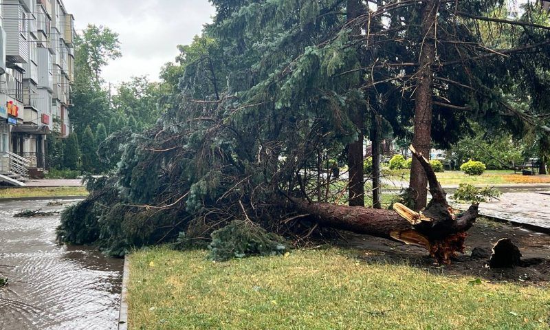 В Черкесске 25-летнего парня убило деревом во время разгула стихии
