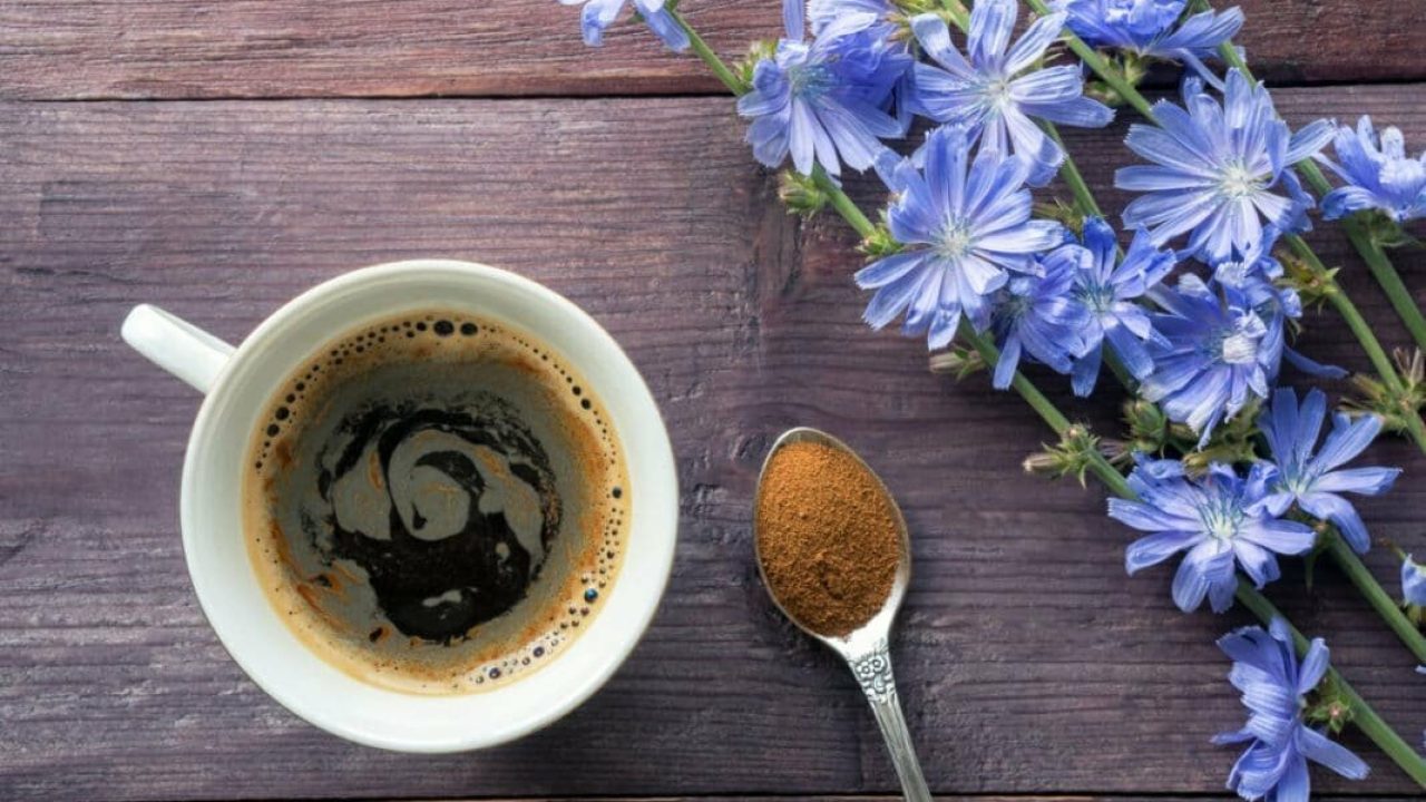 Лучше кофе? Что такое цикорий, чем полезен и кому его нельзя - 31 июля, 2023 Статьи «Кубань 24»