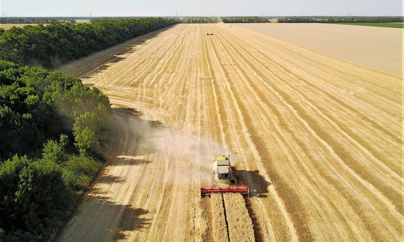 Более 9 млн тонн зерна собрали в Краснодарском крае